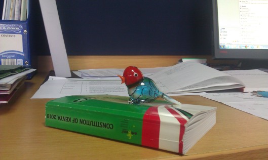 My birdy on my desk, keeping watch over the 2010 Constitution..